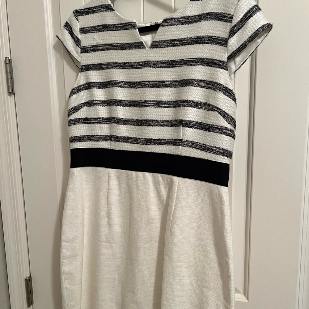 Antonio Melani business dress SZ 12